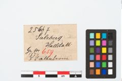 Etikett zu Bronzespiralröhrchen (NHMW-PRAE-025667)